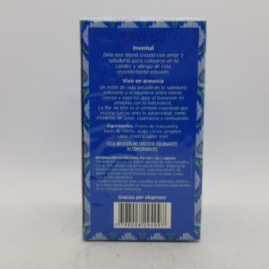 Alternative view of Saint Gottard Te Invernal