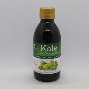 Natier Kale Matcha y Jengibre 250cc