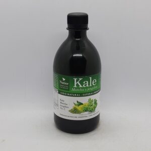 Natier Kale Matcha y Jengibre 500cc