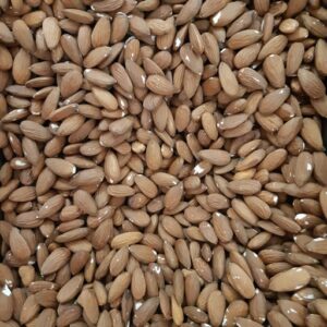 Almendras NonPareil 25/30 x 100grs