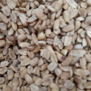 Mani Repelado Tostado x 100grs