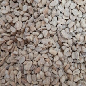 Mani Repelado Tostado y Salado x 100grs