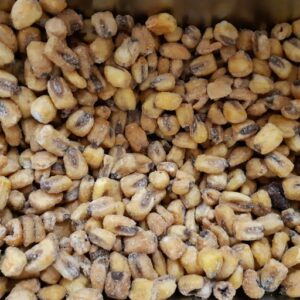 Maiz Frito Saborizado picante x 100grs