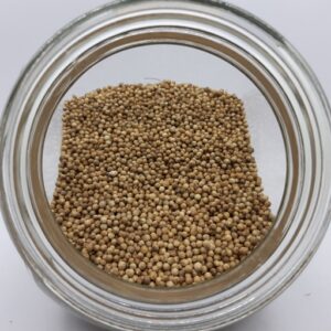 Coriandro Grano x 50grs