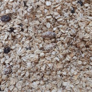 Schatzi Granola Desayuno organica x 100grs